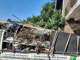 Best Residential Junk Removal  in Ellwood City, PA